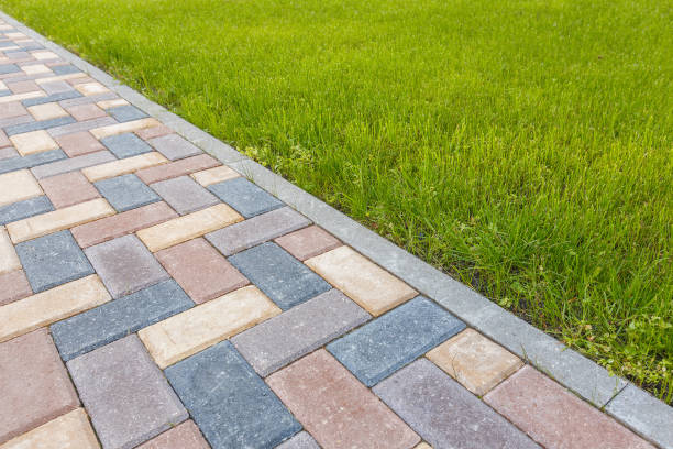 Best Interlocking Driveway Pavers  in Franklin Park, FL
